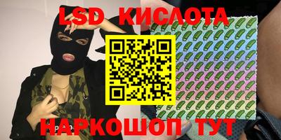 индика Рыбинск
