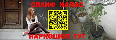 индика Рыбинск