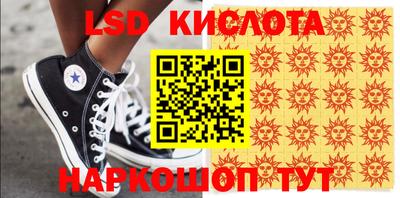 индика Рыбинск