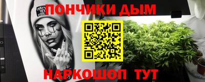 индика Рыбинск