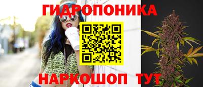 mdma Пугачёв