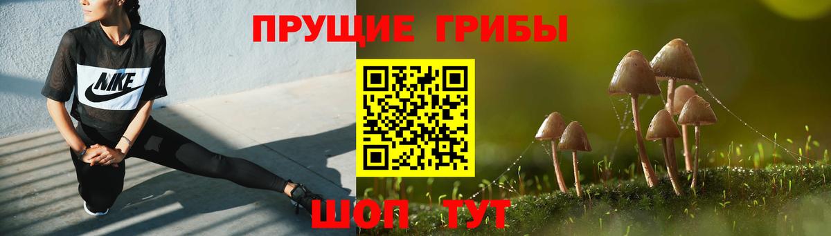 где найти   Галлюциногенные грибы Cubensis  Вход с VPN  Рославль 